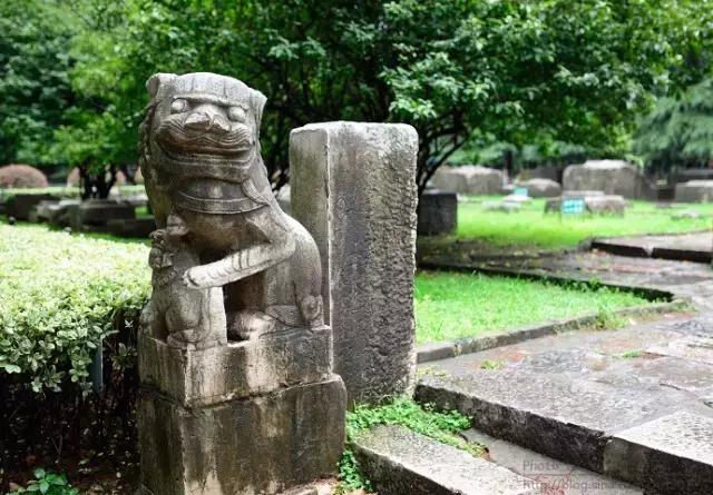 不花一分钱游遍中国,南京六个小众景点