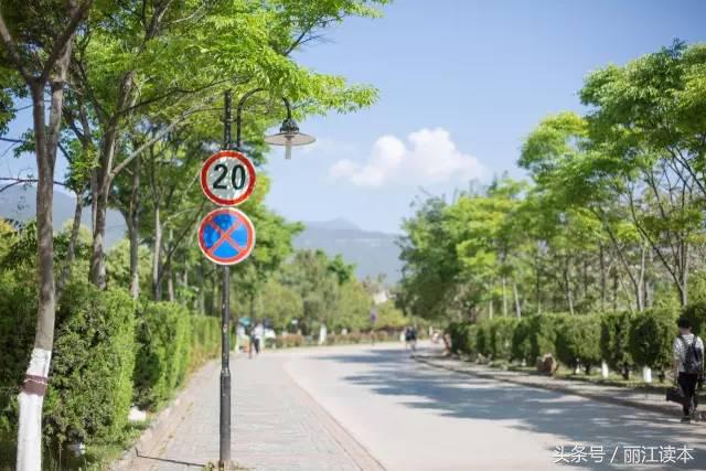 丽江创业卖什么挣钱,丽江大学生创业