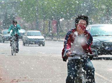 又到了“大雪纷飞”的季节，今天教你们如何自制防杨棉中网