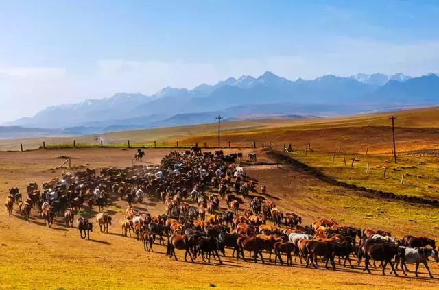 五月开始新的旅程,西北大漠驼铃