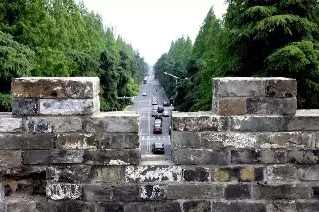 不花一分钱游遍中国,南京六个小众景点