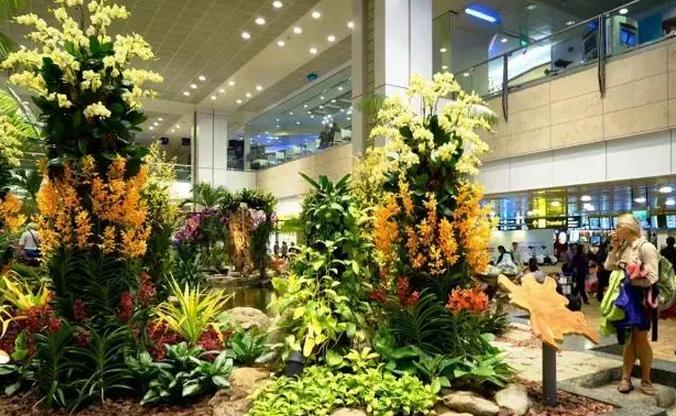 机场免税店可以落地就逛吗,机场免税店购物攻略必买清单