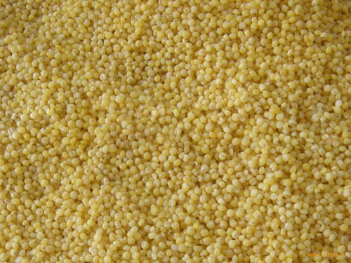 浅谈军粮一（纯干货）