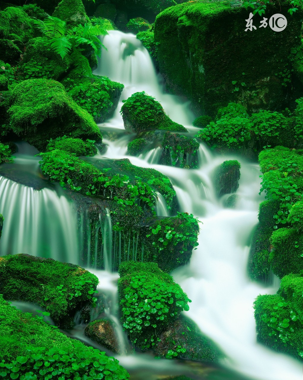 强迫性神经症的根本特点,神经性强迫症的痛苦