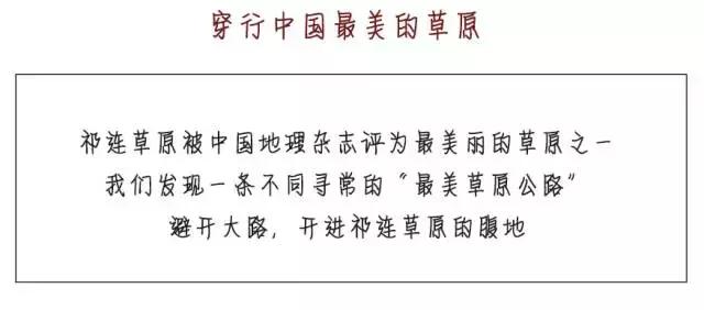 五月开始新的旅程,西北大漠驼铃