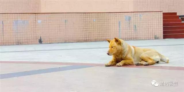 长大之后你还有来吗？说说青少年宫是怎样伴你度过那漫长岁月的~