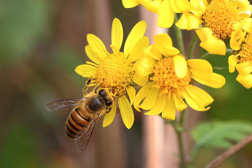 女生不理我该怎么办,女生不理我了怎么办
