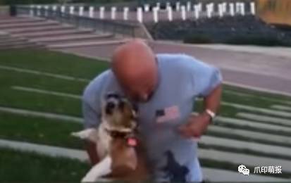 别人家狗尿我身上有什么说法,兽医谈狗尿