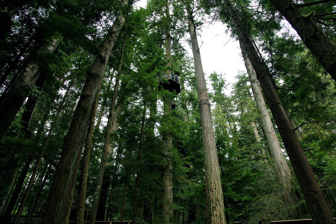 七十迈分享—14天玩儿转加拿大枫叶之国自驾游之旅（二）