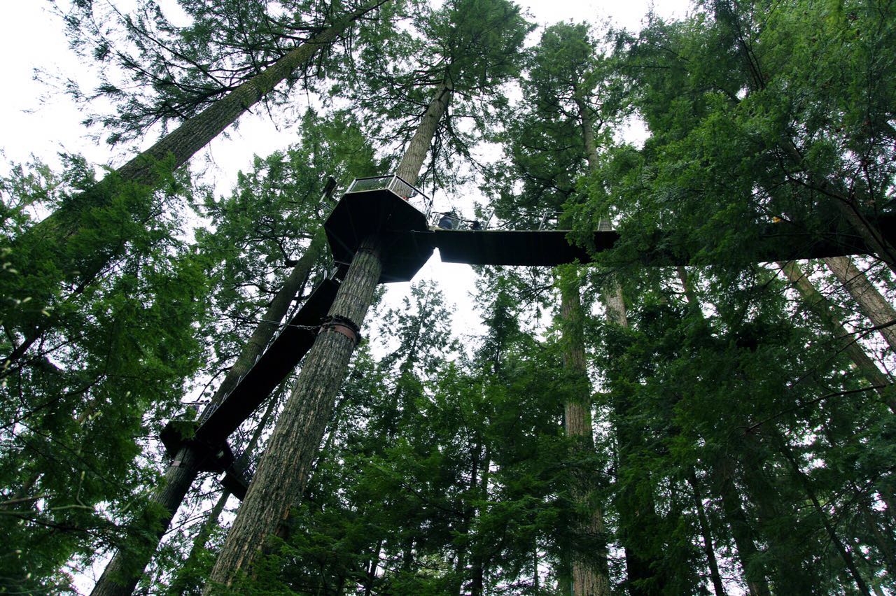 七十迈分享—14天玩儿转加拿大枫叶之国自驾游之旅（二）