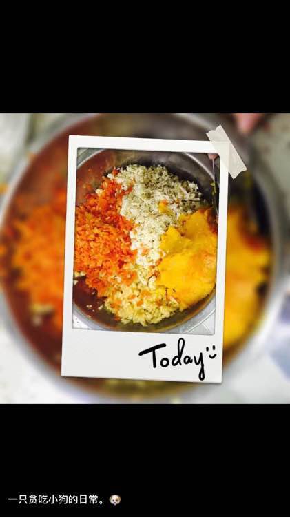 狗狗怀孕40天肚子多大泰迪,怀孕的狗狗生产要多久