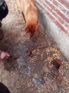 我有一个大胆的想法完整,我有一个大胆的想法幽默搞笑