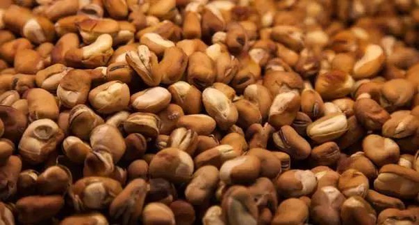 钓鱼时如何选用饵料味型,钓鱼饵料味型重要还是态势重要