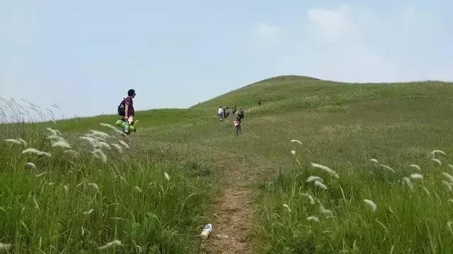 不花一分钱游遍中国,南京六个小众景点