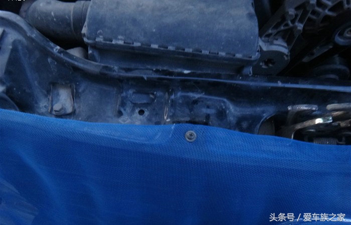 又到了“大雪纷飞”的季节，今天教你们如何自制防杨棉中网