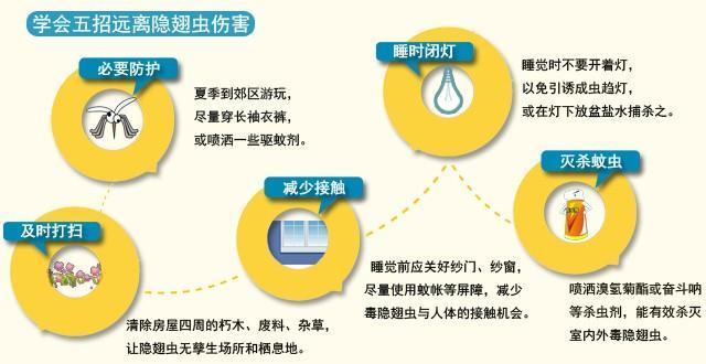 夏天来了家里的虫子好多怎么办,夏天要来了小心蚊虫