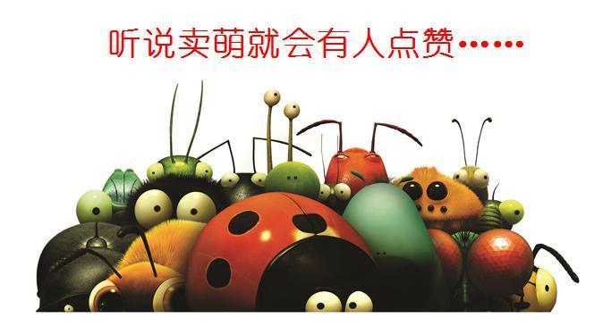 夏天来了家里的虫子好多怎么办,夏天要来了小心蚊虫