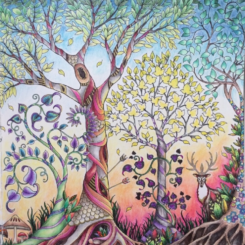 花园的秘密涂色,秘密花园涂色完整版范本图文