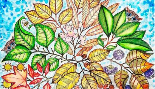 花园的秘密涂色,秘密花园涂色完整版范本图文