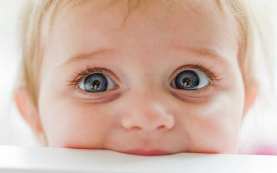 阿拉蕾眼距宽,阿拉蕾面相