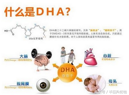 宝宝大脑发育的关键之一取决于DHA，越吃越聪明！