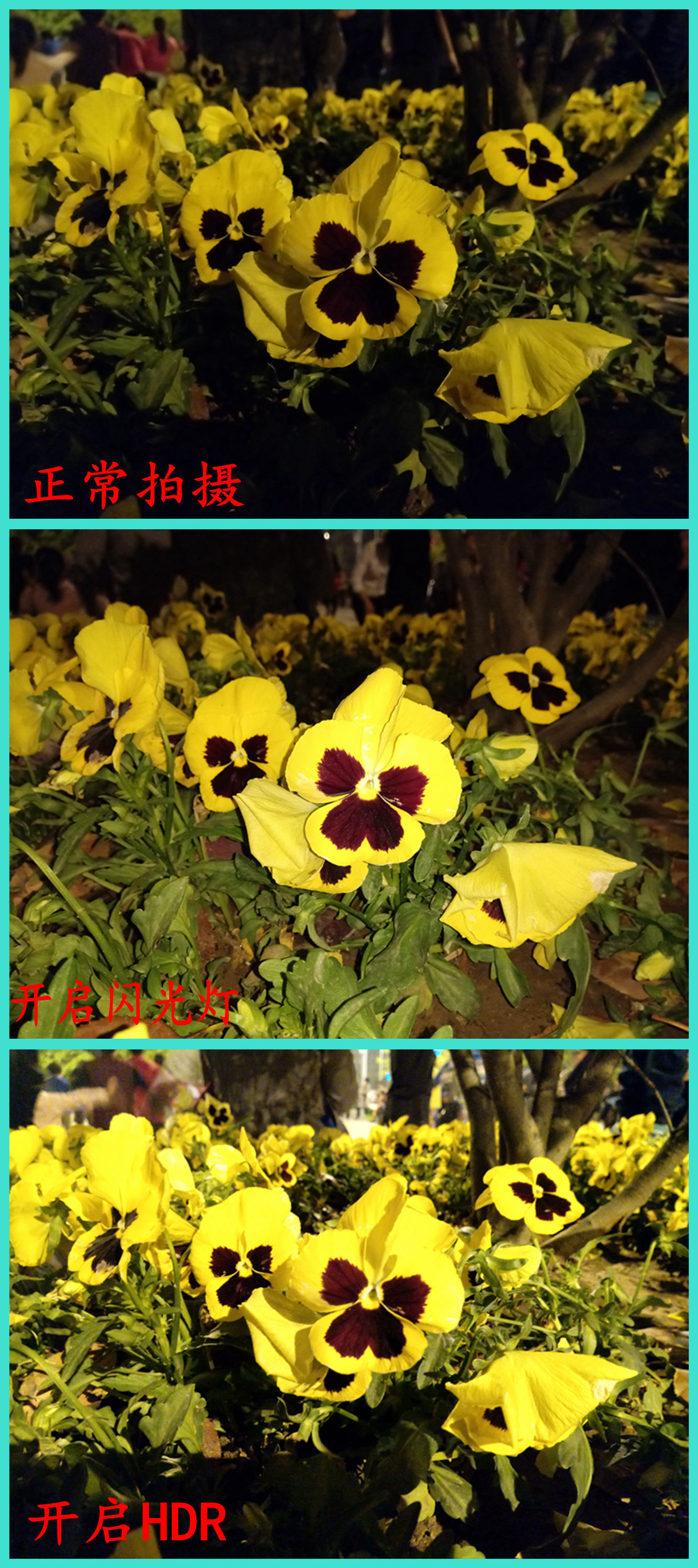 国美k1支持虹膜识别,国美k1支持虹膜解锁吗