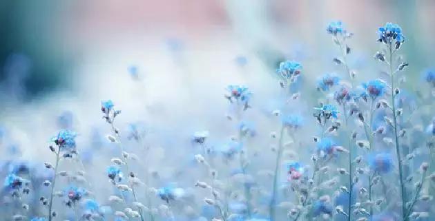 警惕慢性结肠炎带来的危害,慢性结肠炎对眼睛有什么危害吗