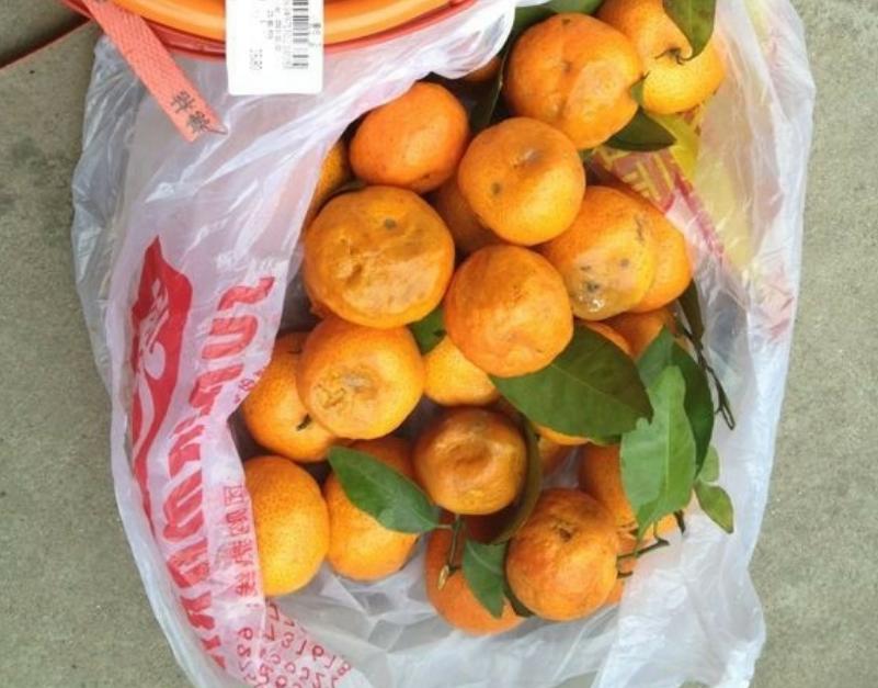 烧烫伤后期用药,烧烫伤紧急处置