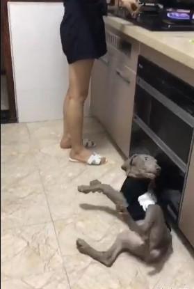 小姨子做饭,小姨子在厨房做饭