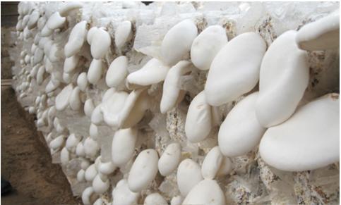 农村不起眼的暴利小生意,县城农村暴利小生意有哪些