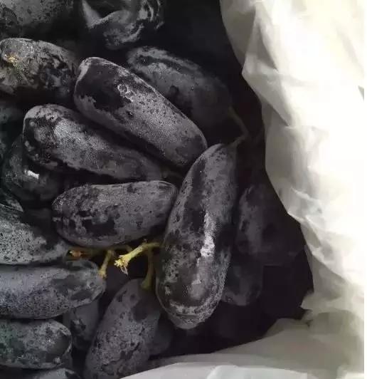 澳洲金手指黑提大概多少钱一斤,澳洲金手指黑提国内能种吗