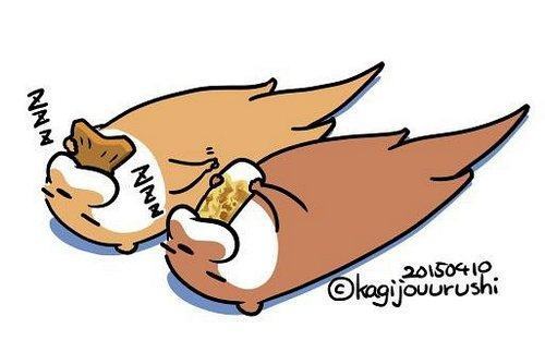 熬夜复习？背书？还是睡觉有用