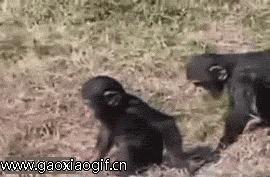 美女你这身材，玩这个动作是不是太危险了