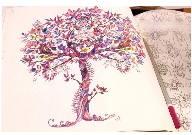 花园的秘密涂色,秘密花园涂色完整版范本图文