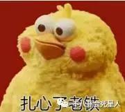 sweety樱花草现场,樱花草sweety组合现状