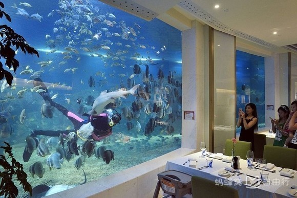 来三亚吃什么美食,来三亚吃海鲜的说说