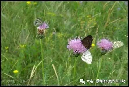 母亲节妈妈快乐的源泉,母亲节快乐母爱是一种力量