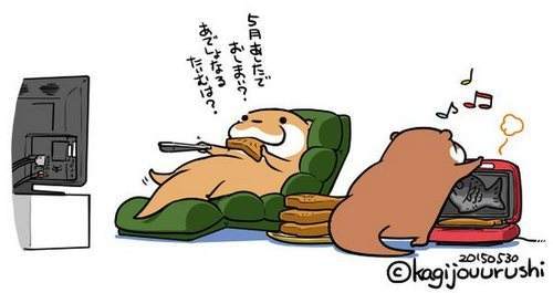 熬夜复习？背书？还是睡觉有用