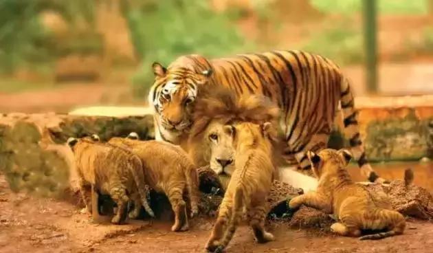 海南环线旅游攻略必去景点推荐,海南旅游攻略必去景点推荐日月湾