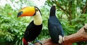 海南环线旅游攻略必去景点推荐,海南旅游攻略必去景点推荐日月湾