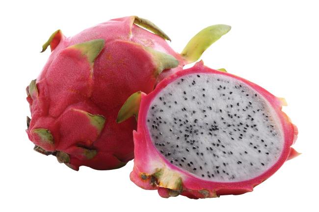 火龙果扦插多久能发芽,第一次种火龙果居然发芽的说说