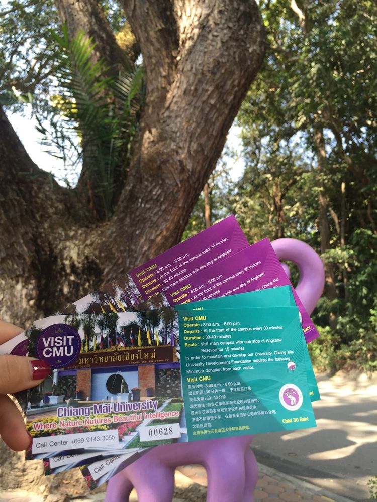 带你一起泰国旅游,清迈普吉自由行