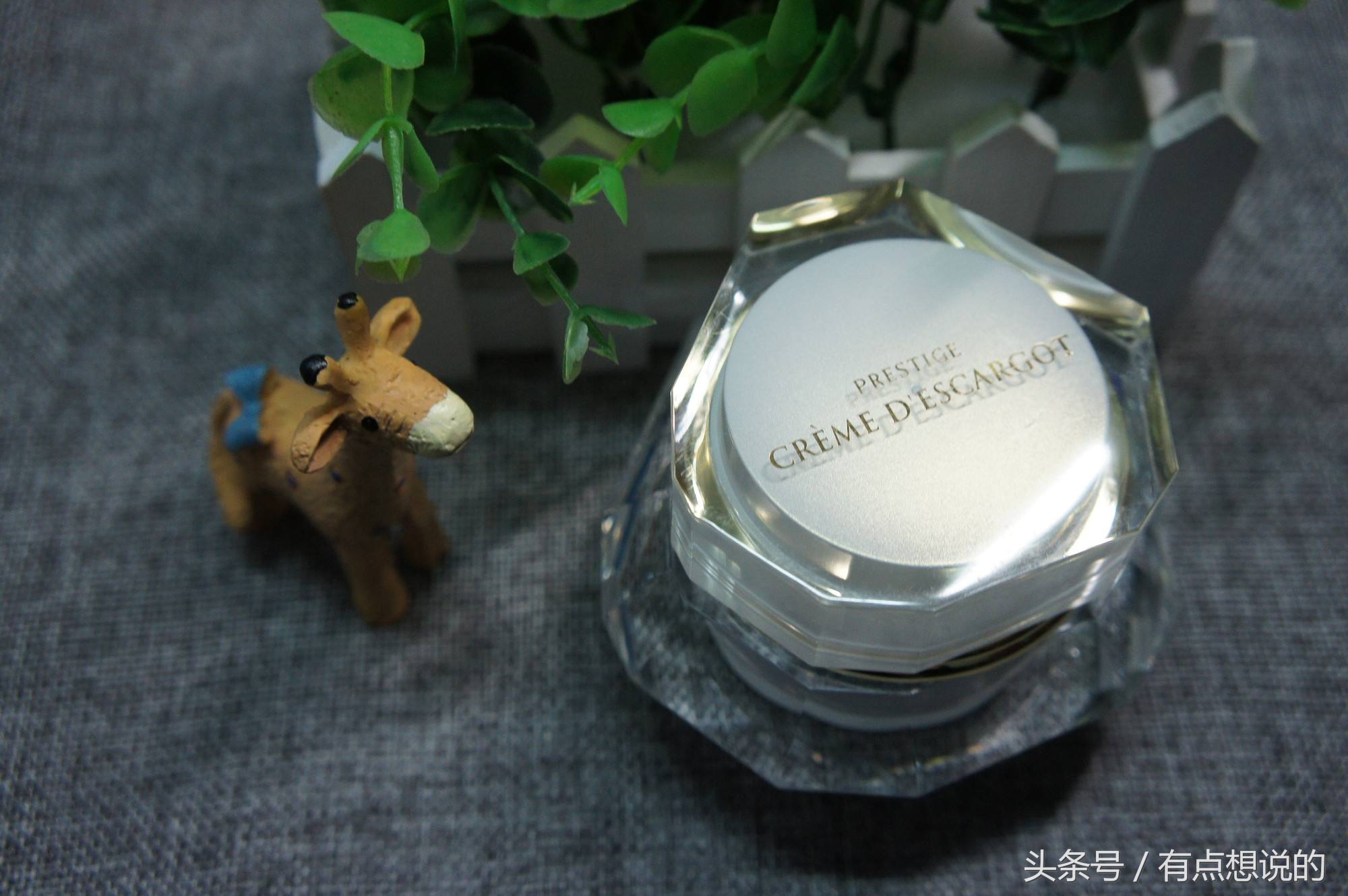 拯救干皮小妙招,拯救干皮