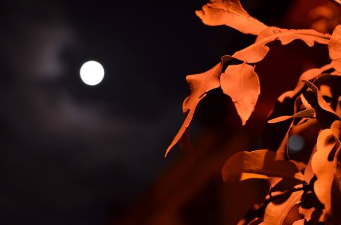 北方的孩子在南方,孩子住校想家的感慨