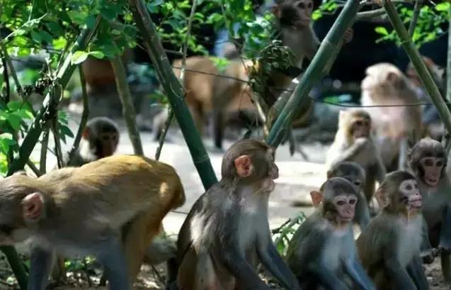 海南环线旅游攻略必去景点推荐,海南旅游攻略必去景点推荐日月湾