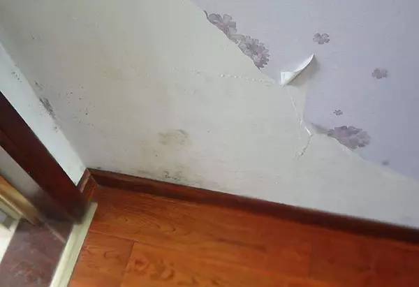 衣柜里的鞋子发霉了,夏季衣服鞋子柜子发霉怎样处理