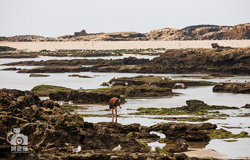 摩洛哥，这个穆斯林国家的现代艺术也很有味道！
