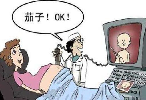 孕妇怀孕几个月可以做彩超,孕10周做5次b超有影响吗