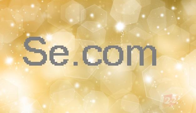 卖完二字母AK.com，狗爹又卖了极品域名Se.com？