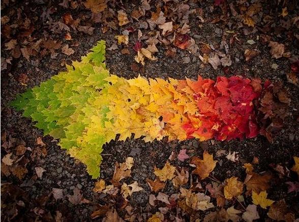 犯了原则性错误怎么挽回天蝎座,天蝎座如何挽回天蝎座